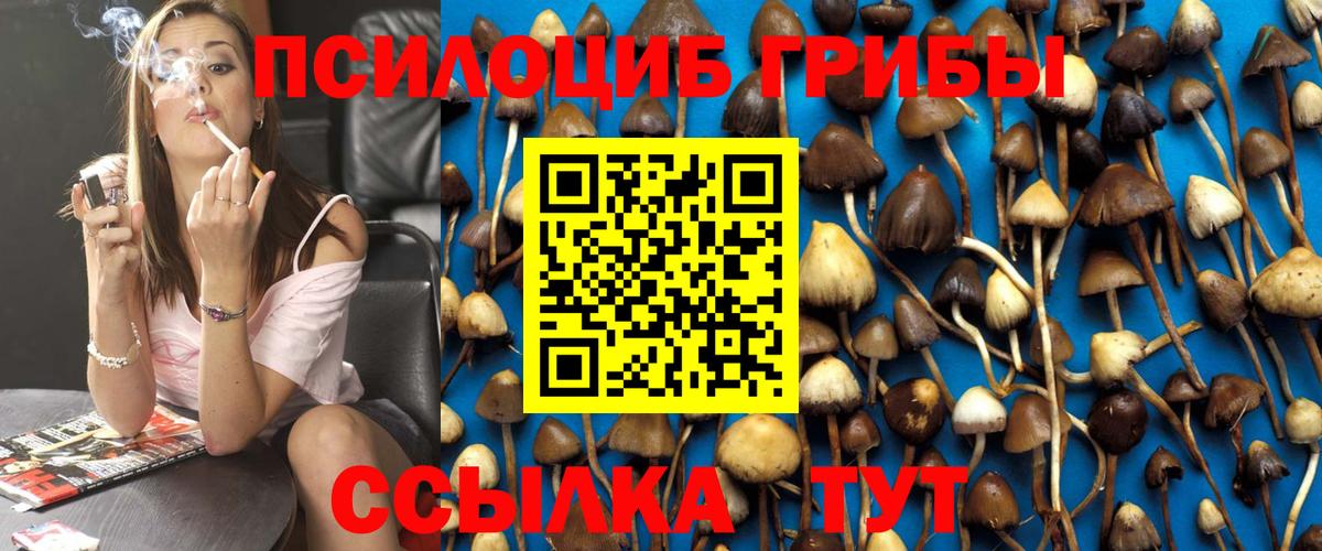 Псилоцибиновые грибы мицелий Железногорск
