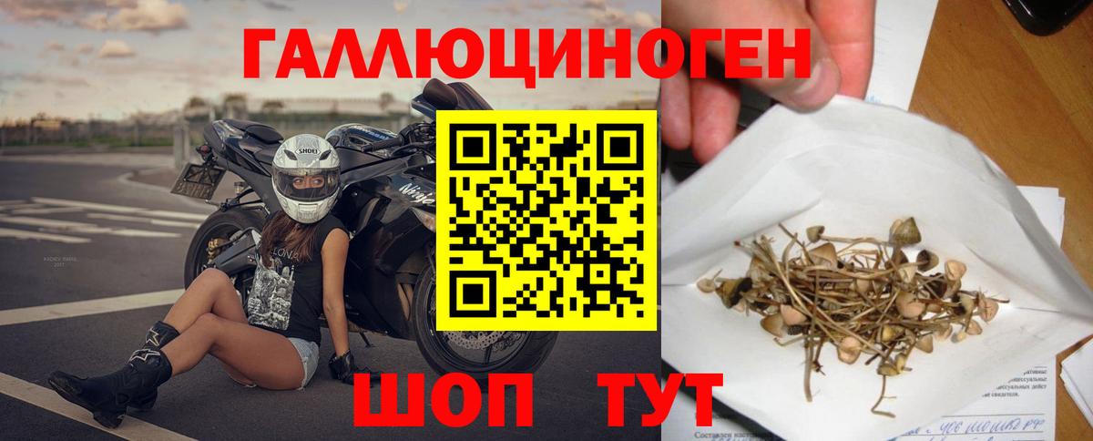 Железногорск  Псилоцибиновые грибы мицелий  Вход с VPN  Псилоцибиновые грибы ЛСД 