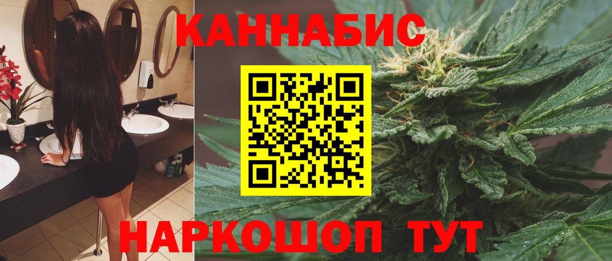 Каннабис план Железногорск
